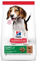 Hill's Science Plan Puppy - fera - 31 080 Ft