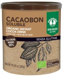 Probios Cacao Instant Eco, Probios, 300 g (BLG-9012237)