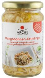 Arche Naturkuche - Asia Muguri Bio de Fasole mung, 330 g / 175 g Arche