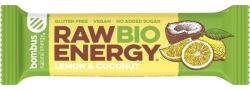 bombus Baton Energizant Bio, Raw Energy, cu Lamaie si Nuca de Cocos 50 g Bombus (BB31302)