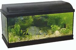 Pacific Akvárium 120L Teljes Szett