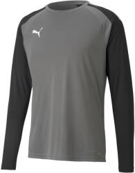 PUMA Bluza cu maneca lunga Puma teamPACER GK LS Jersey 70493343 Marime M (70493343)