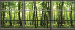  Fotótapéta Nézd meg az erdőt 3D panoráma 3XL Vlies
