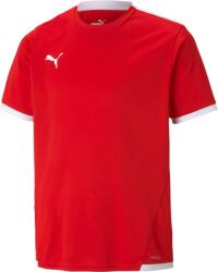 PUMA Bluza Puma teamLIGA Jersey Jr 70492501 Marime 164 (70492501)