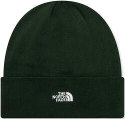 The North Face Norm Beanie Grün Sapka nf0a5fw1-i0p