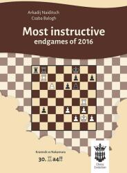 Chess Evolution Most instructive endgames of 2016