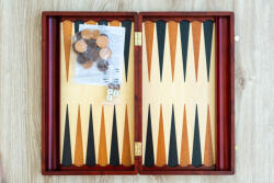 Sakküzlet PROFESSZIONÁLIS Backgammon (nagy)