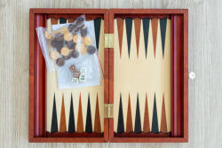 Sakküzlet PROFESSZIONÁLIS Backgammon (kicsi)
