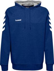 Hummel GO KIDS COTTON HOODIE Kapucnis melegítő felsők 203509-704 Méret 14 (164) - weplayvolleyball