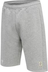 Hummel Sorturi Hummel hmlGG12 SWEAT SHORTS KIDS 213948-2006 Marime XS (123-128 cm)