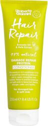 Umberto Giannini Balsam reparator cu ulei de avocado si extract de kale Umberto Giannini Hair Repair Conditioner 250 ml (57224)