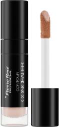 Pierre René PROFESSIONAL Arckorrektor - Pierre Rene Contour Concealer 09