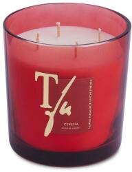 Teatro Fragranze Uniche Illatos gyertya - Teatro Fragranze Uniche Luxury Collection Ceresia Scented Candle 180 g