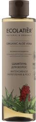 Ecolatier Sampon Intenzív helyreállítás és növekedés - Ecolatier Organic Aloe Vera Shampoo 250 ml