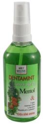 Bione Cosmetics Szájfrissítő - Bione Cosmetics Dentamint Mouth Spray Menthol 115 ml