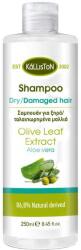 KάLLisToN Sampon száraz és sérült hajra Aloe Verával - Kalliston Shampoo for Dry Damaged Hair with Aloe Vera 250 ml