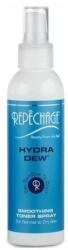 Repêchage Lágyító arctonik krém - Repechage Hydra Dew Smoothing Toner Spray 177 ml