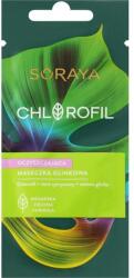 Soraya Masque à l'argile pour visage - Soraya Chlorofil Cleansing Clay Mask 8 ml