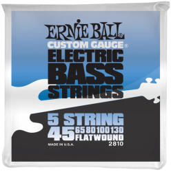 Ernie Ball 2810 Flatwound 5 String Bass 45-130