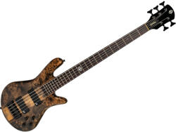 Spector NS Ethos 5 Super Faded Black Gloss