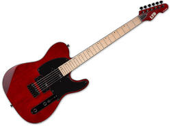 ESP Te-200 Stbc