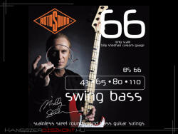 RotoSound BS66 Billy Sheehan Signature Stainless Steel 43-110