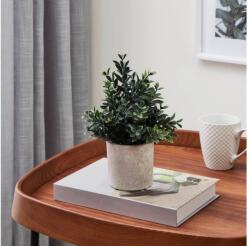 EGLO 428028 - Műnövény CHITOSE virágcserépben, 23x18 cm 428028 (EG428028)