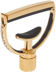 G7th Heritage 2 Guitar Gold