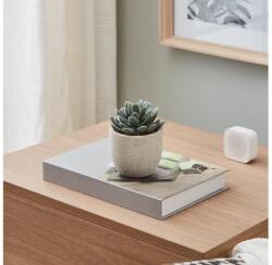 EGLO 428011 - Műnövény CHITOSE 11x8 cm, pozsgás cserépben 428011 (EG428011)