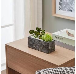 EGLO 428009 - Műnövény CHITOSE 14, 5x17, 8 cm, pozsgás cserépben 428009 (EG428009)