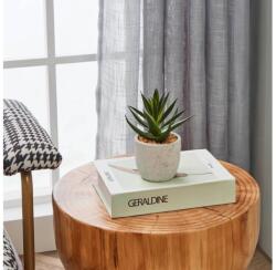 EGLO 428012 - Műnövény CHITOSE kaspóban 15, 5x10 cm, szukkulens 428012 (EG428012)