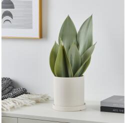 EGLO 428387 - Műnövény virágcserépben TOBETSU 41, 5x28, 5 cm 428387 (EG428387)