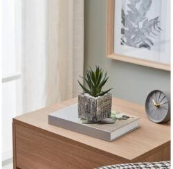 EGLO 428008 - Műnövény CHITOSE 13x9, 5 cm, pozsgás cserépben 428008 (EG428008)