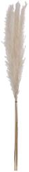 EGLO 428074 - Szárított virág GUIPOS 70 cm fehér 428074 (EG428074)