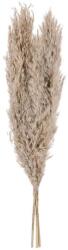 EGLO Eglo 428083 - Szárított virág GUIPOS 55 cm bézs EG428083 (EG428083)