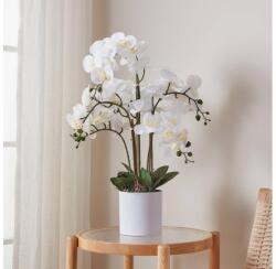 EGLO 428024 - Műnövény HYUGA orchidea, 65x50 cm, cserépben 428024 (EG428024)