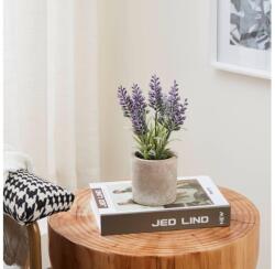 EGLO 428031 - Műnövény CHITOSE levendula, 22x8 cm, cserépben 428031 (EG428031)