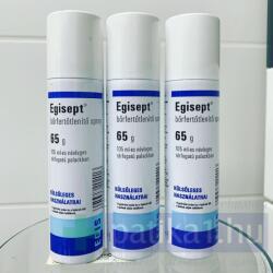 Egisept spray 105 ml