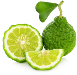  Bergamotte illatolaj 50ml