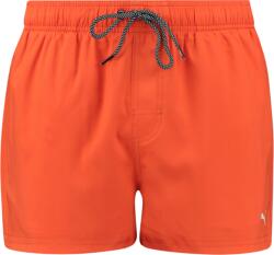 PUMA Sorturi Puma Swim swimming trunks 100000029-031 Marime L (100000029-031) - top4running