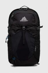 Gregory rucsac Citro 24 99KK-PKM04U_99X (CITRO.24)