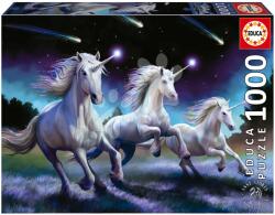 Educa Puzzle Shooting Stars Anne Stokes Educa 1000 darabos és Fix ragasztó (19919)
