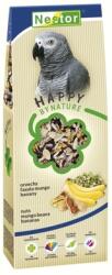 Nestor hrană pentru papagali cu semințe și banane 700 ml