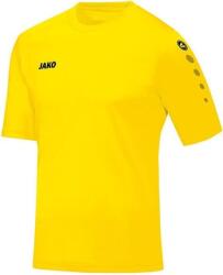 Jako Bluza Jako TEAM SS JSY 4233-03 Marime 42 (4233-03)