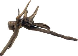 INVITAL Dark wood L (ID Z03509)