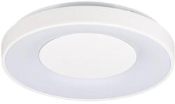 Kanlux VAND 17, 5W NW W Mennyezeti LED lámpa (4000K, természetes fehér, 390mm, 460 lumen, IP20) (37326)