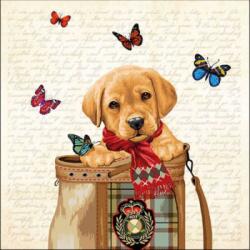 Ambiente Buddy papírszalvéta 33x33cm, 20db-os