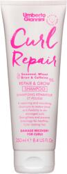 Umberto Giannini Sampon pentru repararea si cresterea parului cret sau ondulat Umberto Giannini Curl Repair & Grow Shampoo 250 ml (57265)