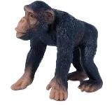 Comansi Comansi: Comansi Little Wild kölyök csimpánz figura (LW12001)