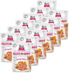 Brit Brit Care Cat Fillets in Gravy Savory Salmon 12 x 85 g